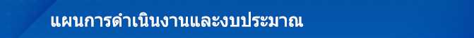 3. แผนการดำเนินงานและงบประมาณ