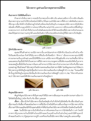 ไม้ยางพารา มูลค่าและโอกาสอุตสาหกรรมไม้ไทย
