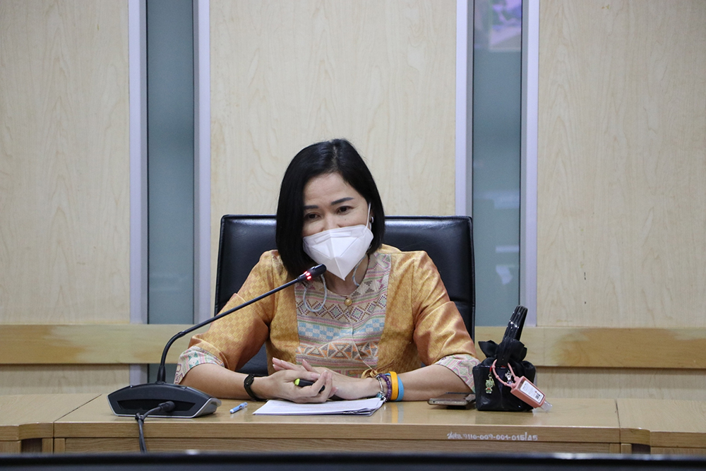 Meeting of the Executive Committee on Energy Policy No. 11/2020 (33rd time)